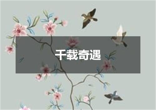 千载奇遇