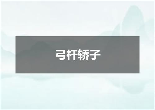 弓杆轿子