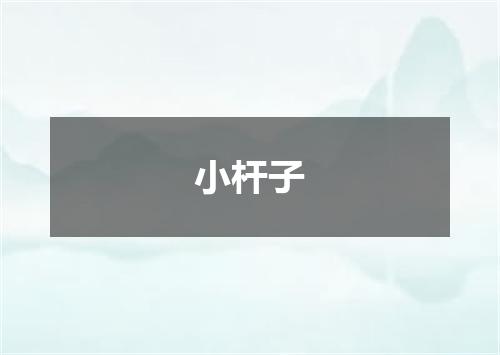 小杆子