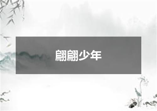 翩翩少年