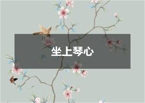 坐上琴心