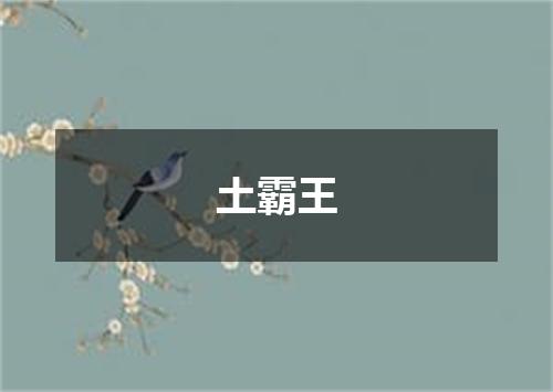 土霸王