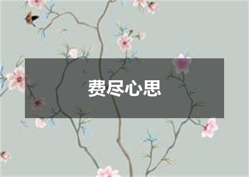 费尽心思
