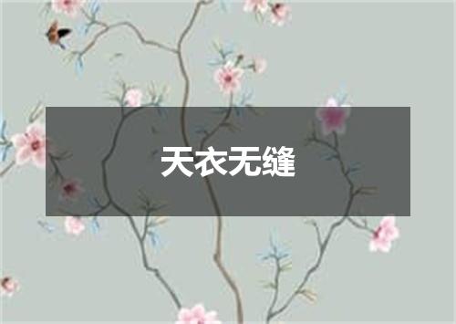 天衣无缝