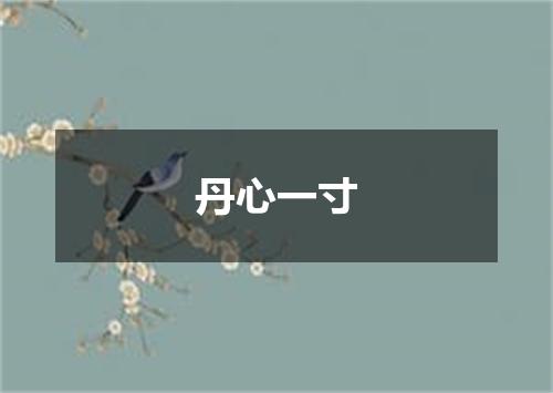 丹心一寸