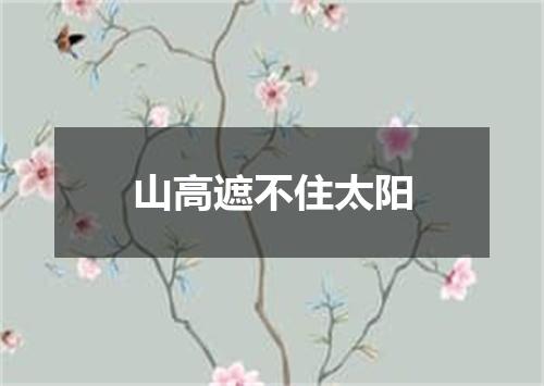 山高遮不住太阳