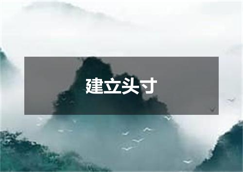 建立头寸