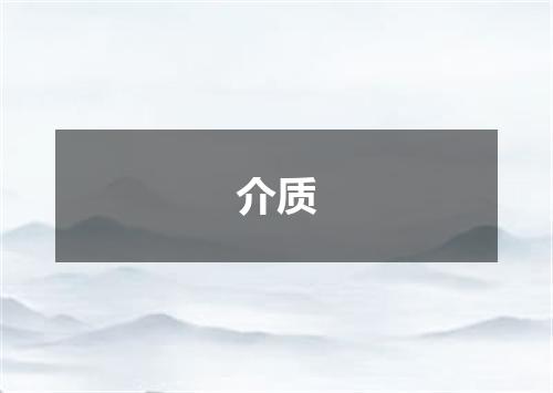 介质