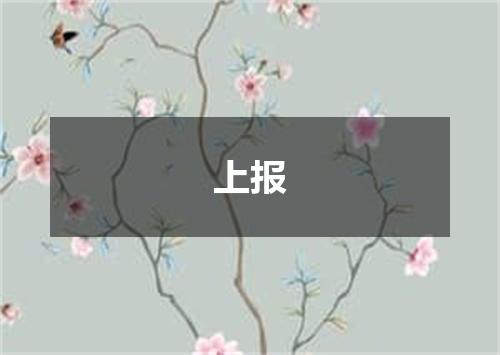 上报