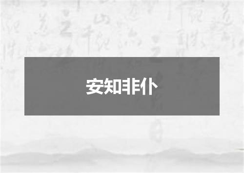 安知非仆