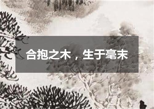 合抱之木，生于毫末