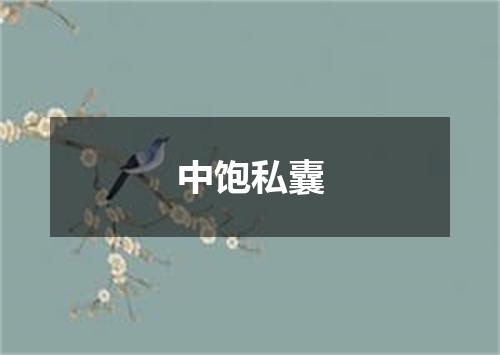 中饱私囊