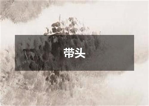 带头