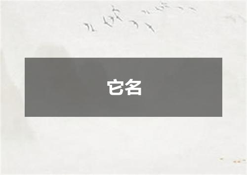 它名