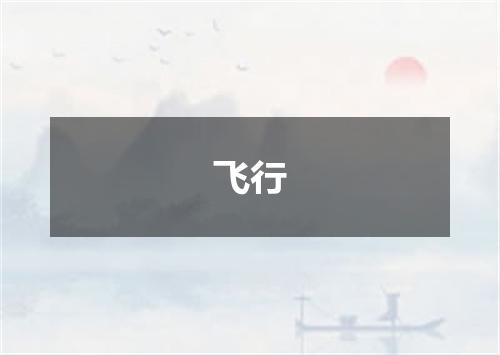 飞行