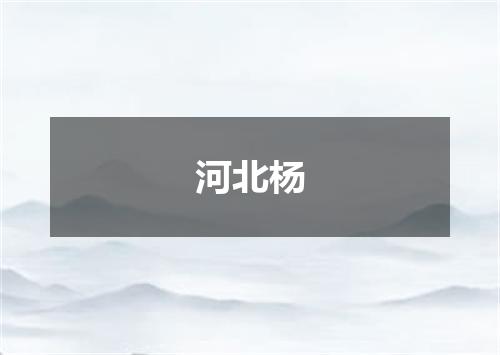 河北杨