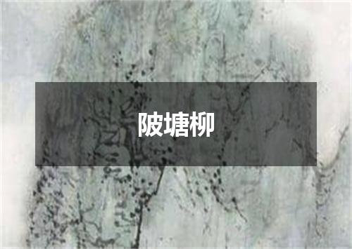 陂塘柳