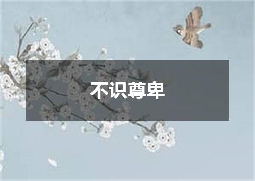 不识尊卑