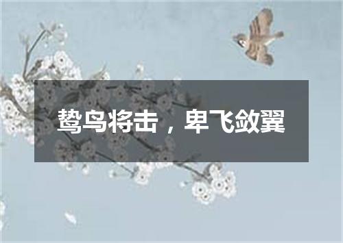 鸷鸟将击，卑飞敛翼