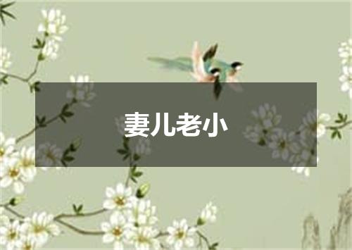 妻儿老小