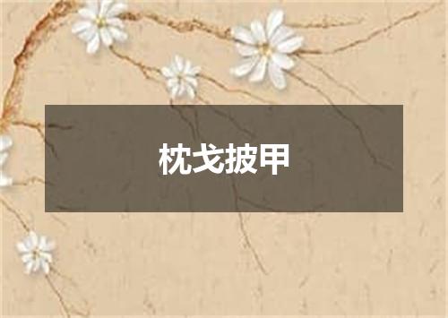 枕戈披甲