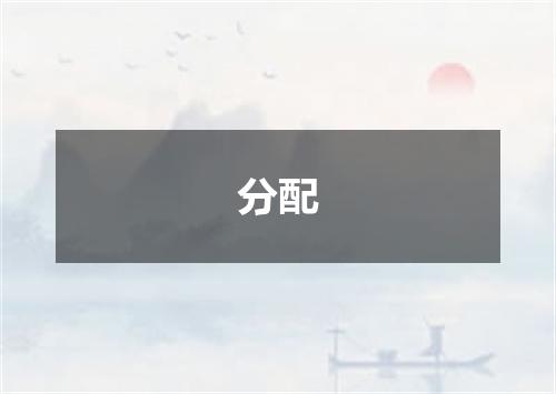 分配