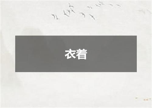衣着