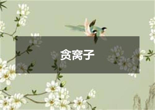 贪窝子