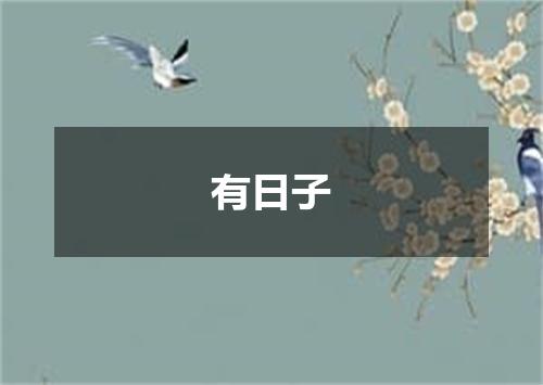有日子