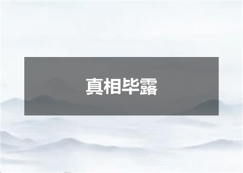 真相毕露