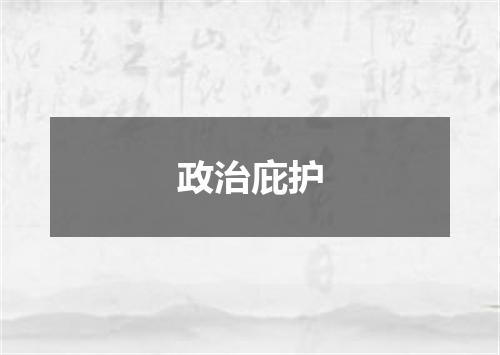 政治庇护