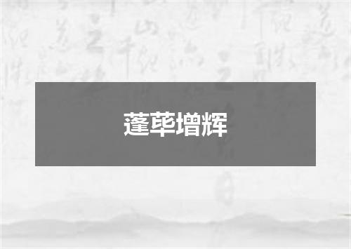 蓬荜增辉