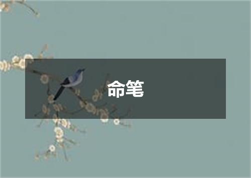 命笔