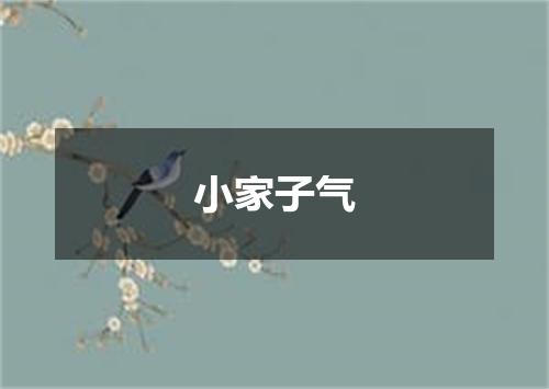 小家子气