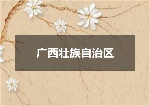 广西壮族自治区