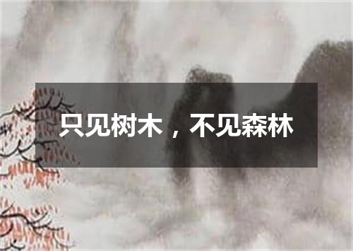 只见树木，不见森林