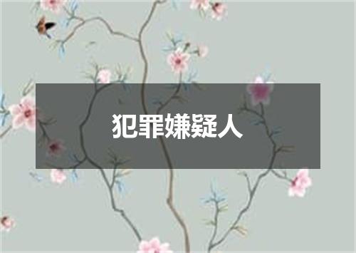 犯罪嫌疑人