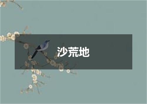 沙荒地