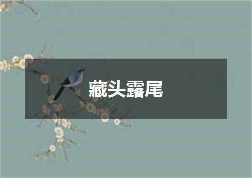 藏头露尾
