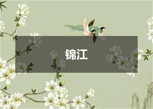 锦江