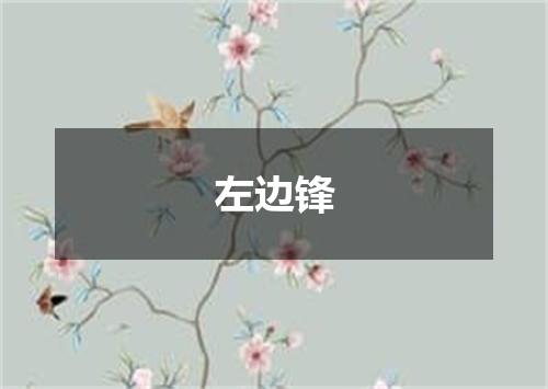 左边锋