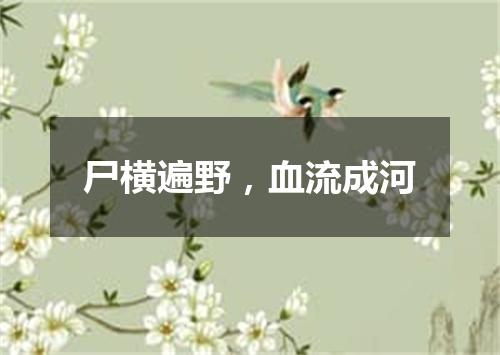 尸横遍野，血流成河