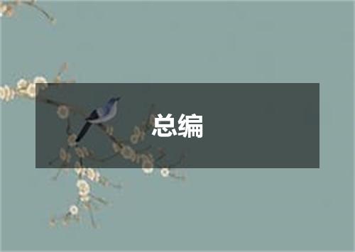 总编