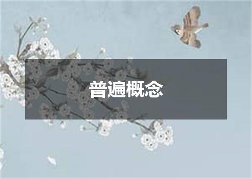 普遍概念