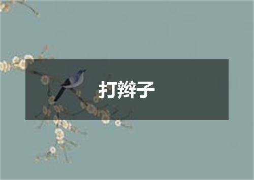 打辫子