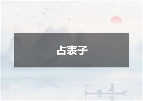 占表子