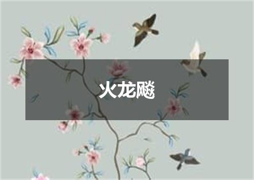 火龙飚