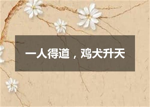 一人得道，鸡犬升天