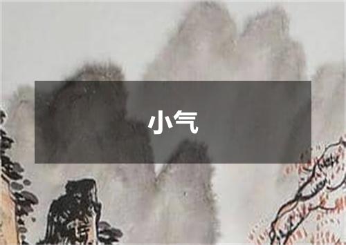 小气