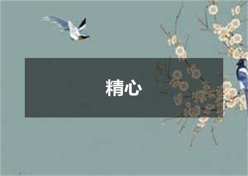 精心